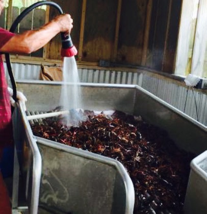 Peck's Seafood Restaurant餐厅图片