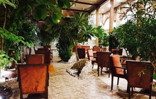 Impero restaurant餐厅图片