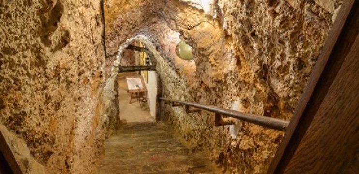 Entreviñas y Olivos