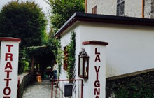 Trattoria Della Vigna餐厅图片