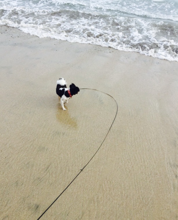 Ocean's Restaurant餐厅图片