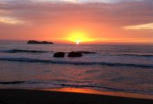 Seascape Restaurant美食图片