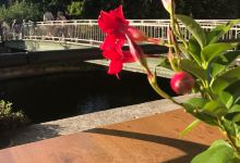 Al Fiume美食图片