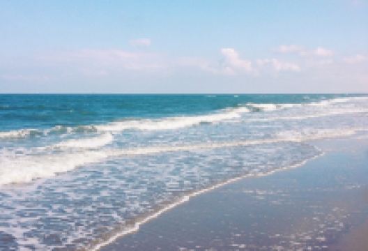 La Galleria Scheveningen Boulevard美食图片