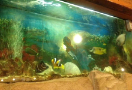 Ae Do Rode美食图片