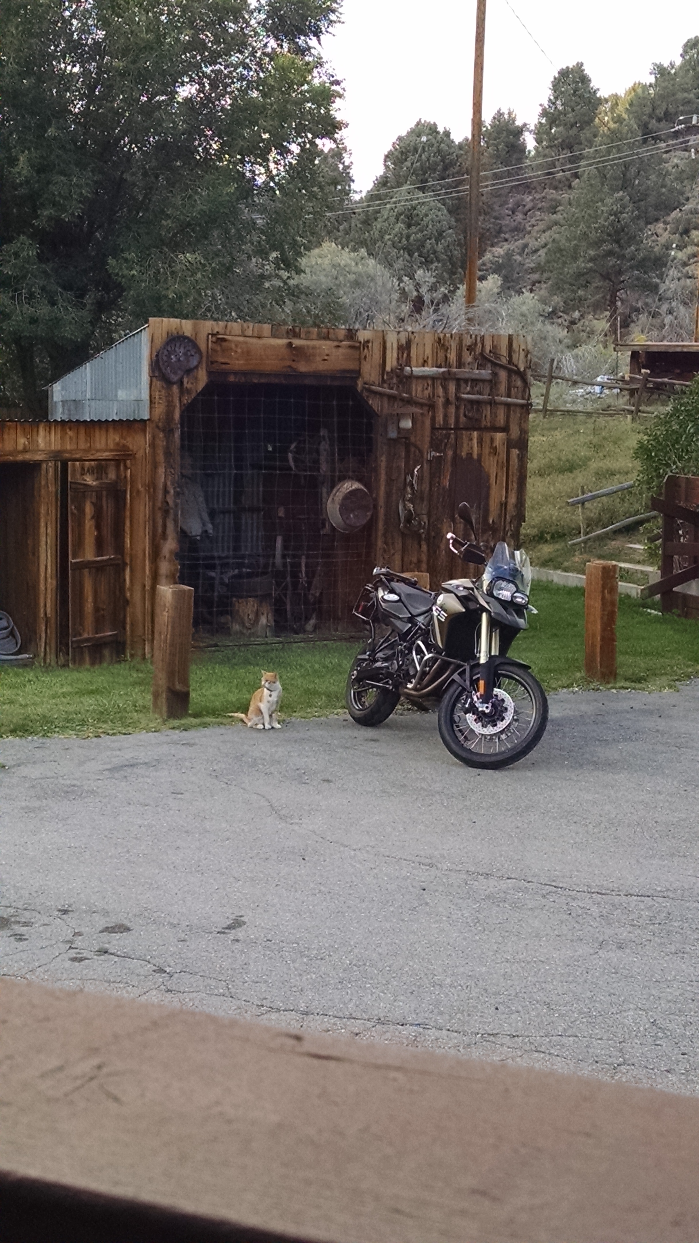 Virginia Creek Settlement Restaurant餐厅图片