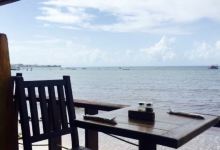 Surfer's Cafe美食图片