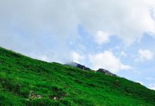 Alpengasthaus Stanglalm美食图片