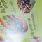 Fatburger