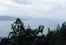 Panorama Taverna - Cafe美食图片