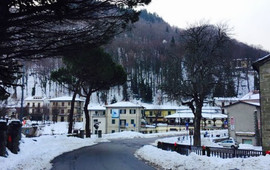 Albergo Ristorante La Foresta