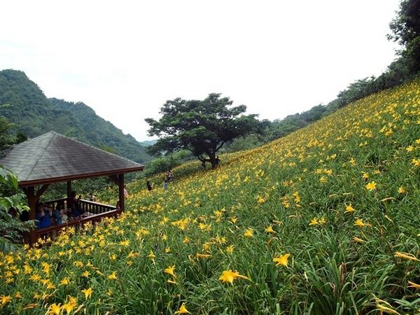 沐心泉休闲农场