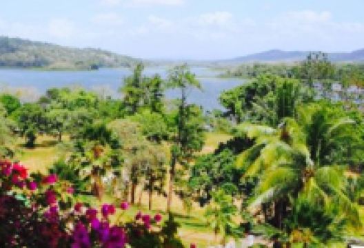 Monkey Lobby Bar in Gamboa Rainforest Resort美食图片