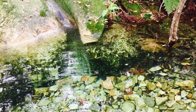 Pillares餐厅图片