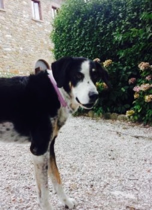 Residenza d'Epoca San Girolamo