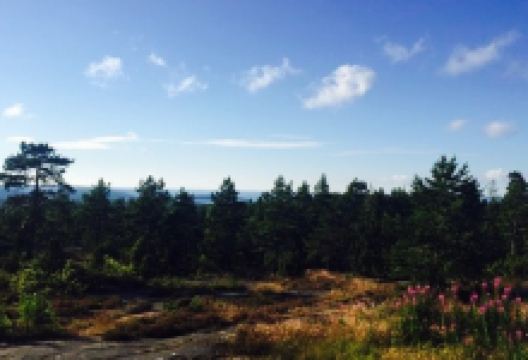 Soltuna Restaurang & Cafe美食图片