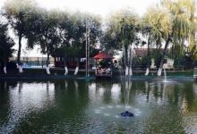 Laguna Focsani Restaurant - Pensiune美食图片