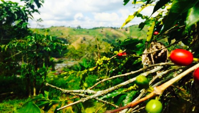 Expedición Café餐厅图片