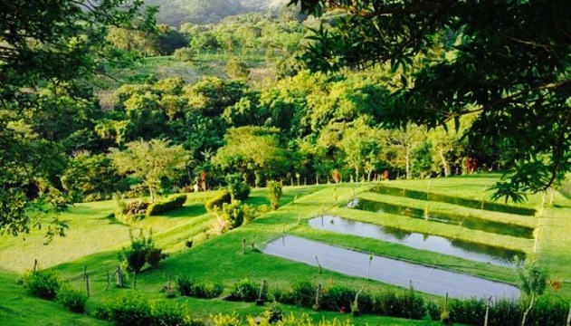 Turín Costa Rica餐厅图片