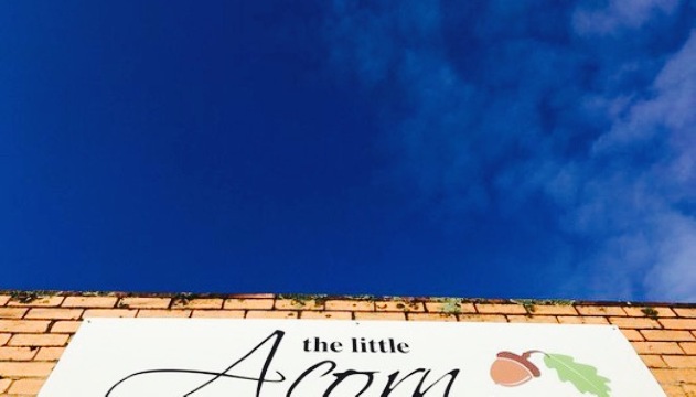 The Little Acorn