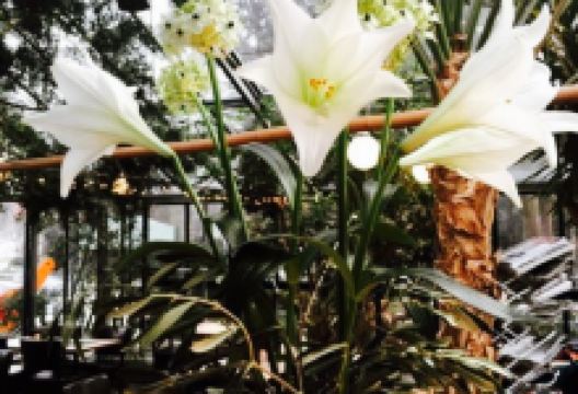 Glacehaus美食图片