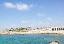 Limani Bistro美食图片