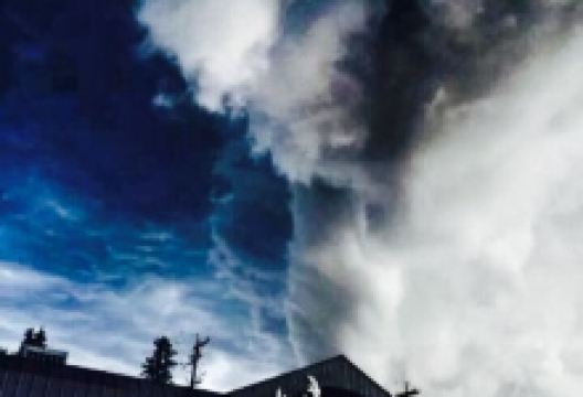 Bukwildz美食图片