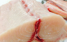 Pescheria Ittica Brianza餐厅图片