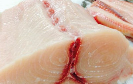 Pescheria Ittica Brianza