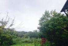 Bakery Sasakitei美食图片