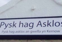 Pysk hag Asklos Fish & Chips美食图片