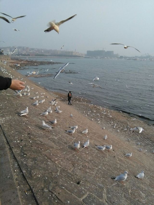 잔교(잔차오)