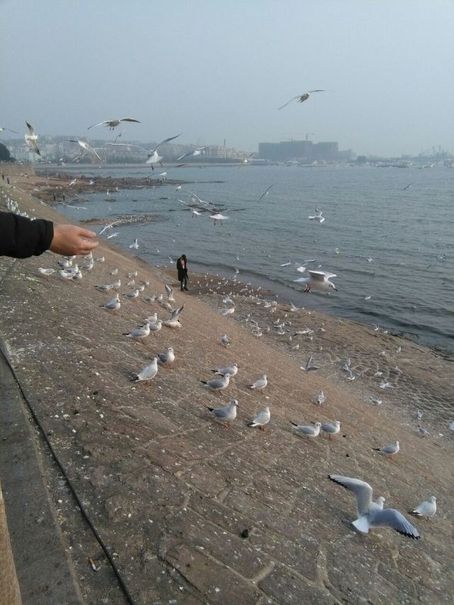 잔교(잔차오)
