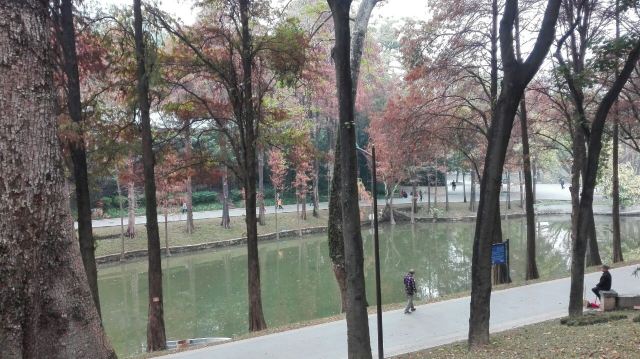 Yuexiu Park
