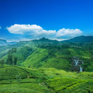 Nuwara Eliya District