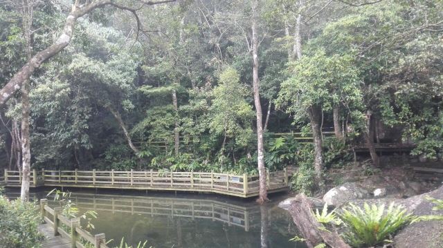 Wuzhishan Tropical Rainforest