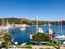 马尔马里斯-马米勒斯-可可喵0_0