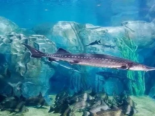 海上世界