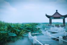 金湖荷花荡景区景点图片