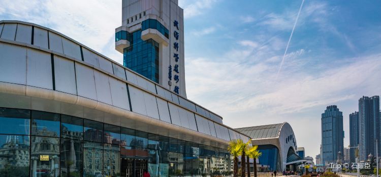 Wuhan Science And Technology Museum Travel Guidebook Must Visit