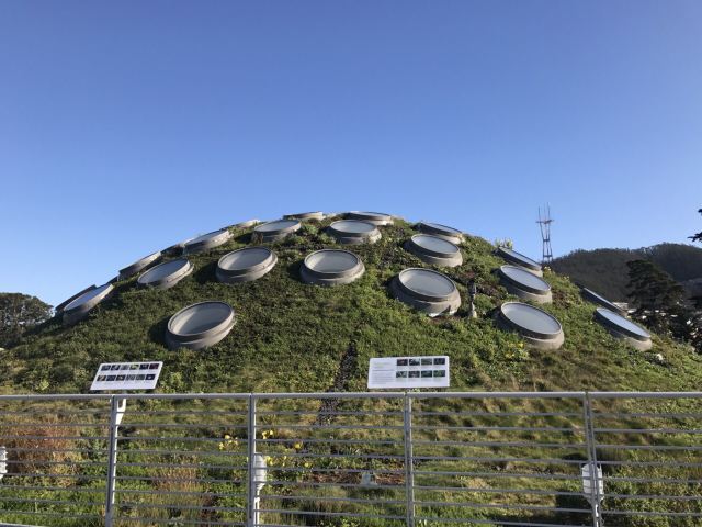 California Academy of Sciences