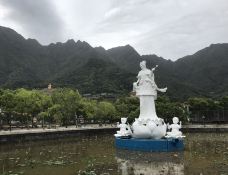 海丰-YoYo_6W8J5W2L