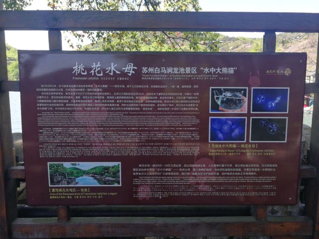 Baimajian Longchi Scenic Area