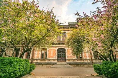 云南大学-会泽院(东陆校区)