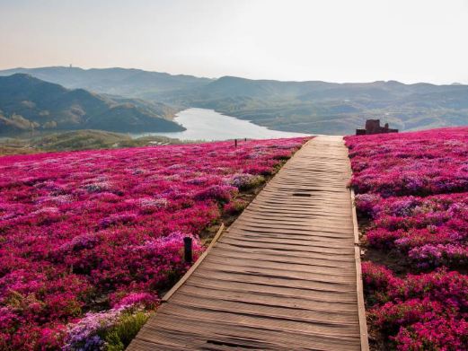 沐心·双马山旅游度假区