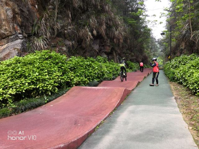 梅峰島