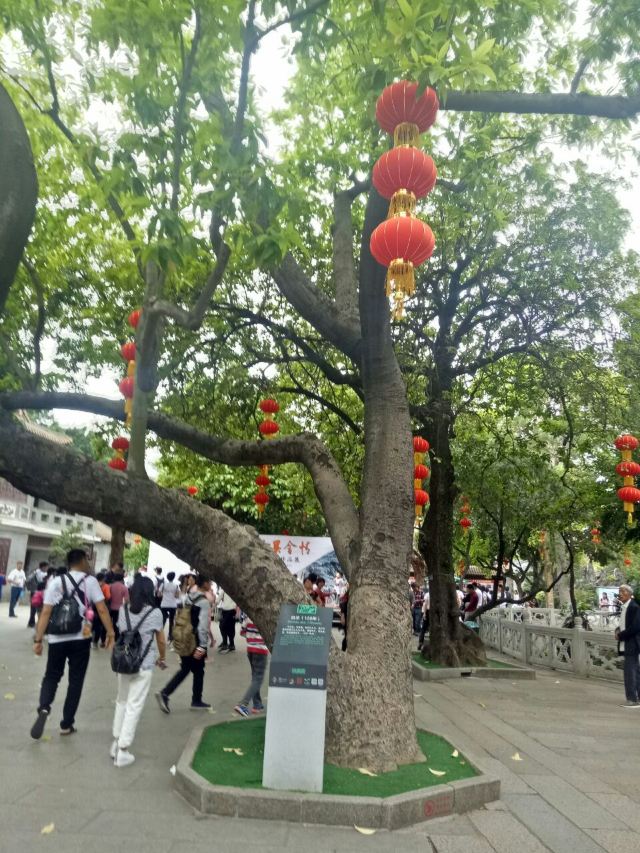 Qinghui Garden