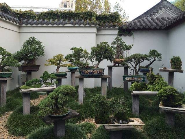 Chinese Garden of Friendship