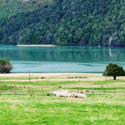 皇后镇+基督城+罗托鲁瓦+布拉夫小镇+特卡波湖12日11晚拼小团