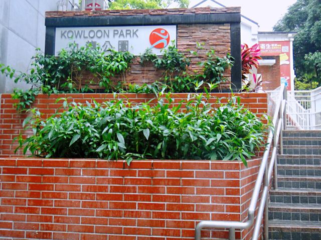 Kowloon Park